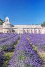 France, Provence, Gordes. Abbey of Our Lady of Senanque (Abbey Notre-Dame de Senanque) Art Print